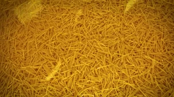 Vermicelli Italiani Sono Sparsi Piatto Maccheroni Stanno Cadendo Piatto Grado — Video Stock