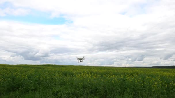 射击飞行的无人机在芥末领域 — 图库视频影像