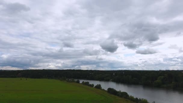 Senfblütenfelder Aus Der Vogelperspektive Helikopter Drohnen Bewegung Flusslauf — Stockvideo