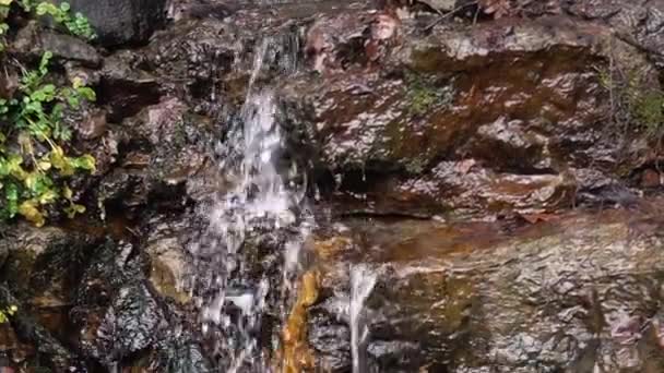 Tiro Panorámico Cascada Reserva Parque — Vídeo de stock