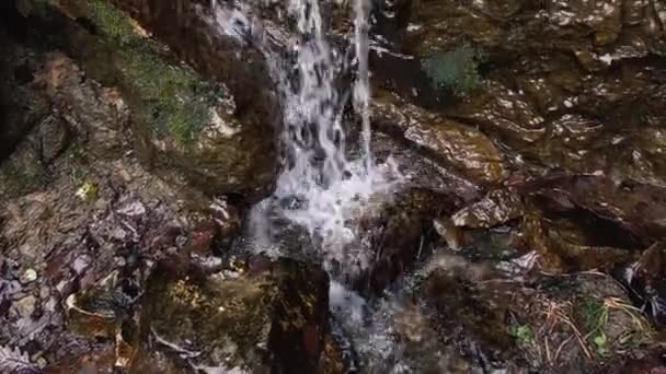 Tiro Panorámico Cascada Reserva Parque — Vídeo de stock