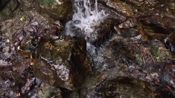 Filmar Uma Cascata Floresta Reserva Parque — Vídeo de Stock