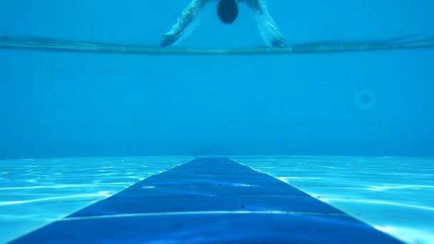 Homem Está Nadar Debaixo Água Liberta Nariz Piscina Fotografia Subaquática — Vídeo de Stock