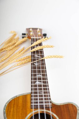 Beyaz arka planda Ukulele. Hawaii gitarı masanın üzerinde yatıyor.