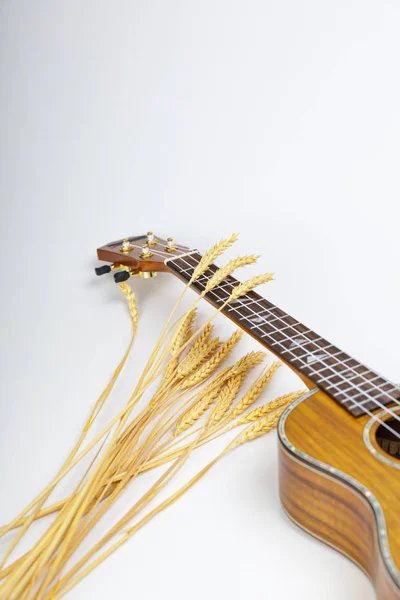Ukulele sobre fondo blanco. Guitarra hawaiana yace sobre la mesa — Foto de Stock