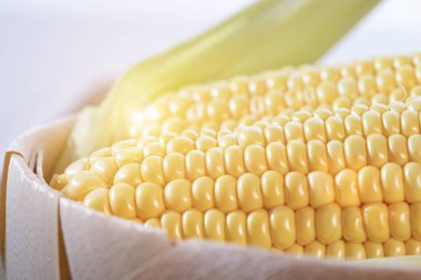 Olgun kesilmiş mısır şekeri koçanı hasır bir sepette yatıyor. Sarı mısır taneleri.