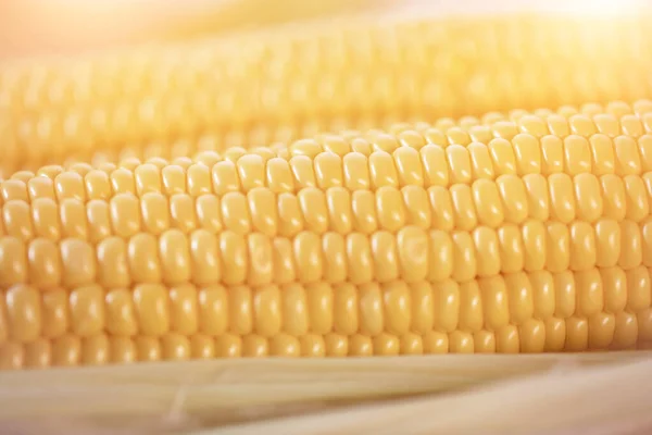 Cob Ripe Cut Corn Sugar Lies Wicker Basket Yellow Corn — Stock Photo, Image