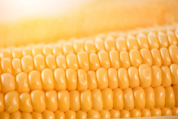Cob Ripe Cut Corn Sugar Yellow Corn Kernels — Stock Photo, Image