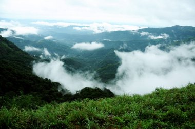 Hindistan'da geçen bulutlar ile yüksek dağlar tropikal orman.