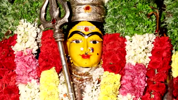 Närbild av en staty av den hinduiska gudinnan, traditionella hinduiska templet, Indien — Stockvideo