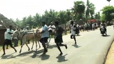 Madurai, Hindistan - 22 Temmuz 2015: Bullock arabası yarış madurai, Hindistan üzerinde küçük kasabada