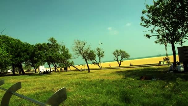 Campo de grama perto de Chennai Marina Beach — Vídeo de Stock