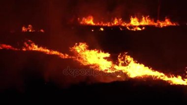 Gece yangın alanında. Kuru ot yanan