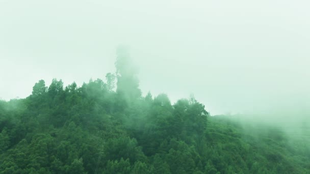 Wolken voorbij berg. Groene heuvels met bomen wolk kladjes — Stockvideo