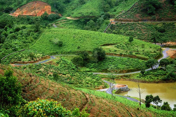 Le alte montagne foresta tropicale con nuvole che passano in India — Foto Stock