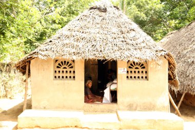  Nannilam, Hindistan - 20 Mayıs 2016: Dış köy Hut. 