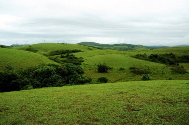 Hindistan'da geçen bulutlar ile yüksek dağlar tropikal orman.