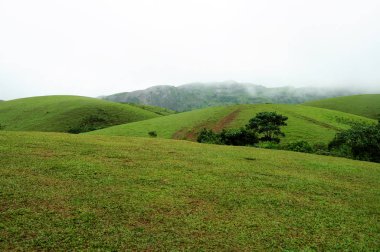 Hindistan'da geçen bulutlar ile yüksek dağlar tropikal orman.
