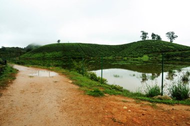Yol, ağaçlar ve göl güzel manzara.