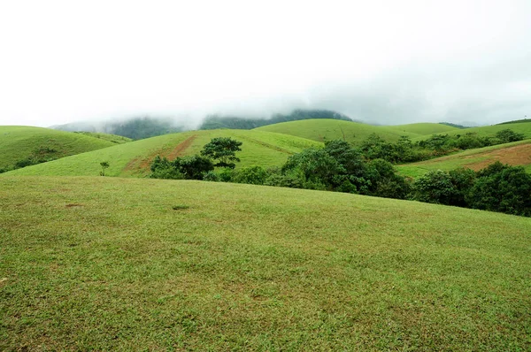 Der tropische Hochgebirgswald mit Wolken, die in Indien vorbeiziehen. — Stockfoto