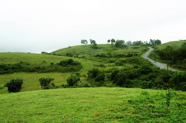 Der tropische Hochgebirgswald mit Wolken, die in Indien vorbeiziehen. — Stockfoto