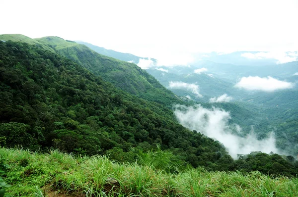 Hindistan'da geçen bulutlar ile yüksek dağlar tropikal orman. — Stok fotoğraf