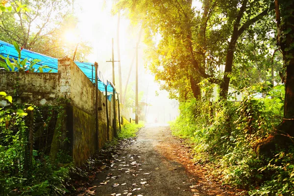 Güneş ışınları ağaçların arasından dökün. Hint doğa yol yol yol,  