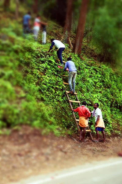 Kodaikanal, indien - 21. Juni 2016: Filmaufnahmen und die Arbeit des Filmmannes an der Natur. — Stockfoto