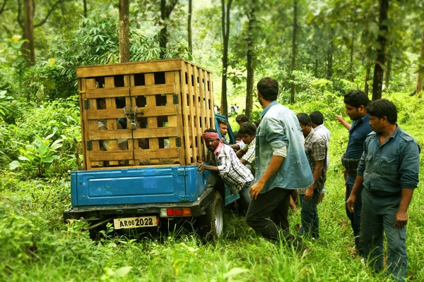 Kodaikanal, Indien - 29. Juni 2015: Menschen versuchen, das kaputte Auto im Wald mit verschlossenem Kasteninneren zu schieben 5 Personen sitzen, Filmteam vor Ort Filmdreh — Stockfoto