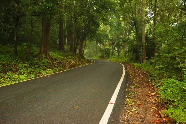 Bela estrada rodoviária através da floresta — Fotografia de Stock