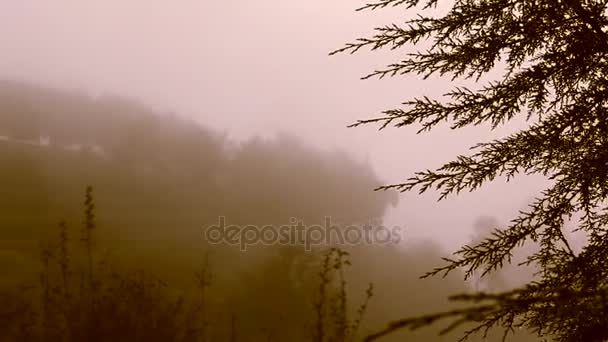 Προχωρώντας ομίχλη τα βουνά νωρίς το πρωί, — Αρχείο Βίντεο