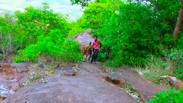 印度-2016年6月12日: 儿童徒步旅行在山区, 儿童旅游和生活方式的概念。农村的暑假. — 图库视频影像