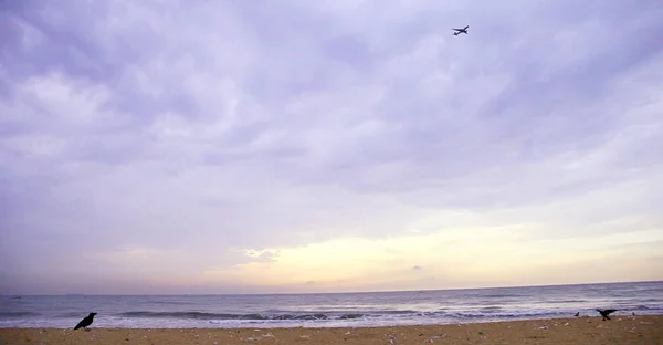 Flugzeug Fliegt Über Erstaunliche Ozean Oder Strandlandschaft Mit Tropischer Insel — Stockfoto