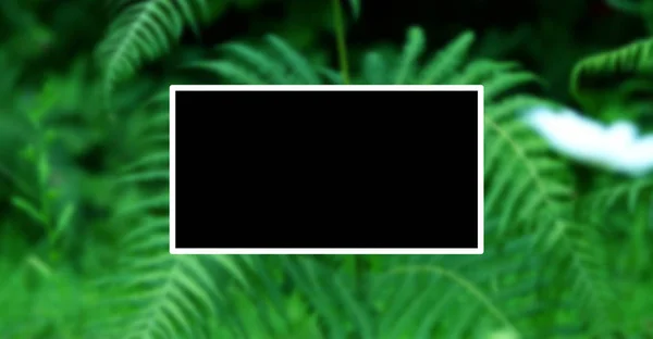 Fotorámeček Zelené Listy Podtisku Příroda Pojmy — Stock fotografie