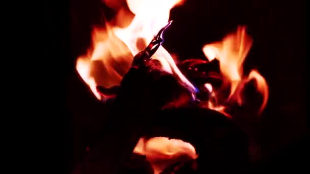 Feu de camp, Feu de camping brûlant dans la nuit fond noir 