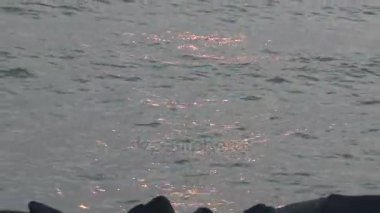 renkler harika sahilde güzel gün batımı