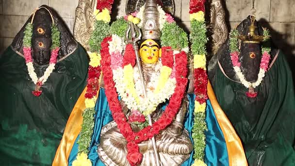 Статуя Индуистской Богини Традиционный Индуистский Храм Южная Индия — стоковое видео