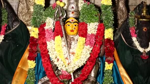 Zoom Uma Estátua Deusa Hindu Templo Hindu Tradicional Índia — Vídeo de Stock