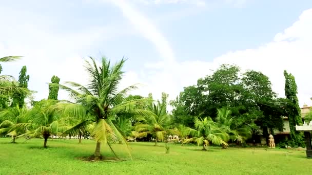 Schöner Garten Schwenkschuss — Stockvideo