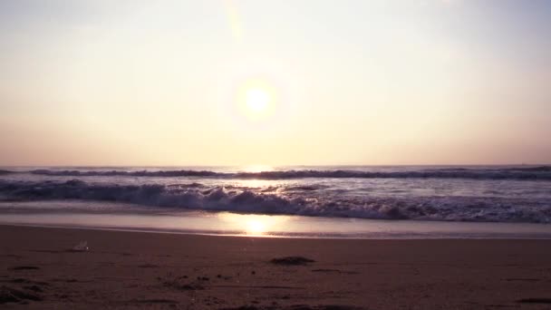 Been Geschoten Jonge Minnaar Wandelen Het Strand Bij Zonsondergang Paar — Stockvideo