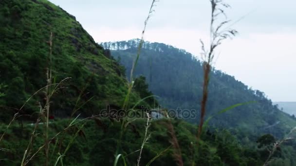 Wolken ziehen über die Berge. Grüne Hänge mit Bäumen in Wolkenfetzen. Nebel über Bäumen. Nebel rauscht über Bergrücken. Schwenkschuss — Stockvideo