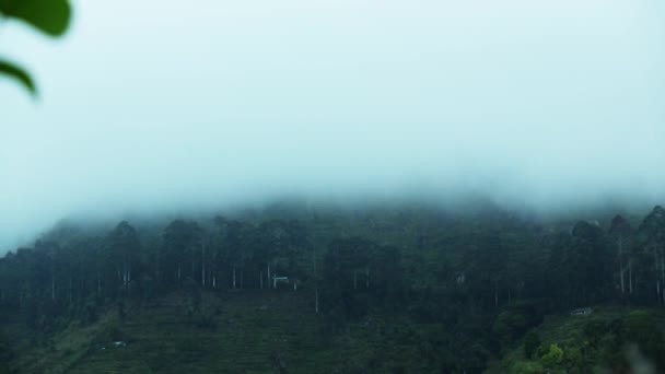 Wolken ziehen über die Berge. Grüne Hänge mit Bäumen in Wolkenfetzen. Nebel über Bäumen. — Stockvideo