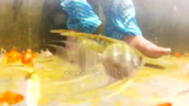 Genç kadın bacak portre vurdu, sualtı çekimde altın balık oynamaya kadın