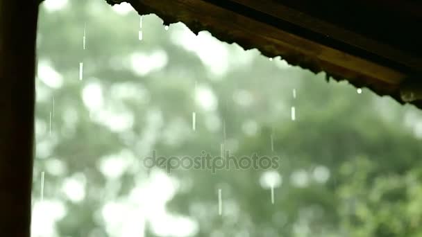 Padající déšť, dům vnější rýžování zastřelil padající déšť. — Stock video