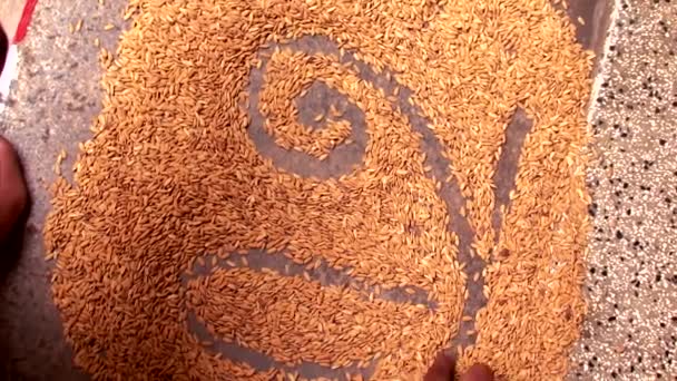 Indisk kultur, barn skriva ett brev på paddy frön i Tamil första ord — Stockvideo