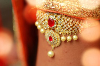 Gelin elbise ve el gelinin, Hint düğün hazırlık. Lüks Oriental moda güzellik aksesuarları