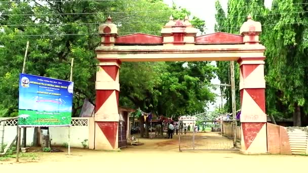 TIRUPPATUR, INDIA - 18 DE NOVIEMBRE DE 2015: Jóvenes estudiantes caminando por el edificio de la universidad, plano exterior en las entradas universitarias — Vídeo de stock