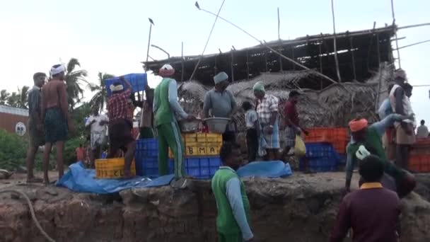 POOMPUHAR, India - 12 DE NOVIEMBRE DE 2015: pescadores descargando cestas de pescado — Vídeos de Stock