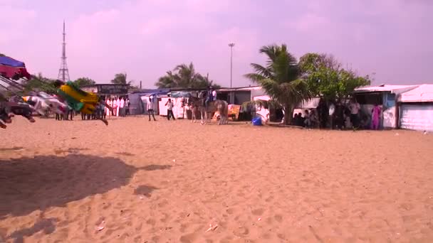 INDIA - 11 DE MAYO DE 2016: pueblos montando a caballo en la playa . — Vídeos de Stock