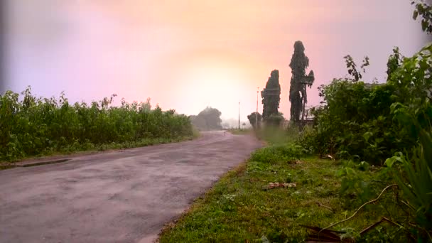 India - 1 maart 2017: Jongeman rit op motorfiets, natuur achtergrond — Stockvideo